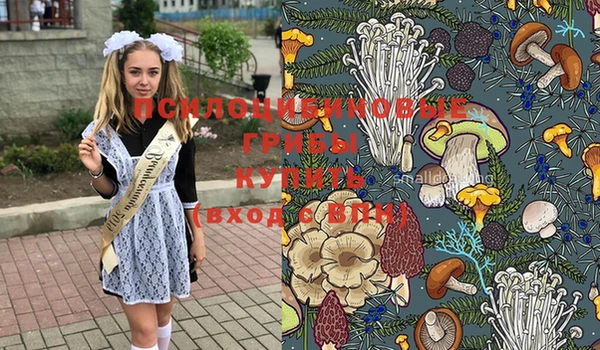 СК Абдулино