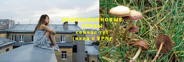 марки lsd Алзамай